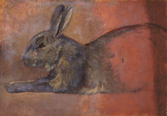Smith, Thomas Stuart; Study of a Rabbit; The Stirling Smith Art Gallery &amp; Museum; http://www.artuk.org/artworks/study-of-a-rabbit-127657